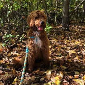 Meet your Posher, Venita